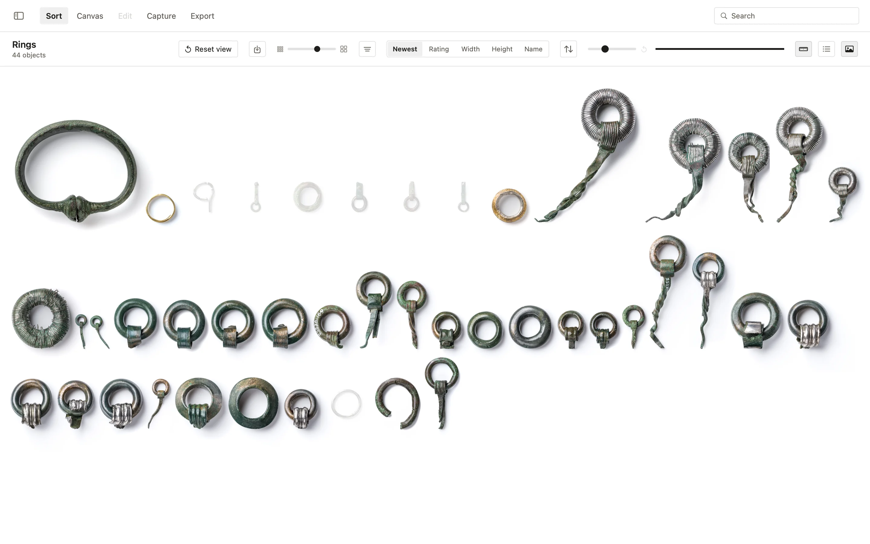 Objects side by side at their true relative size