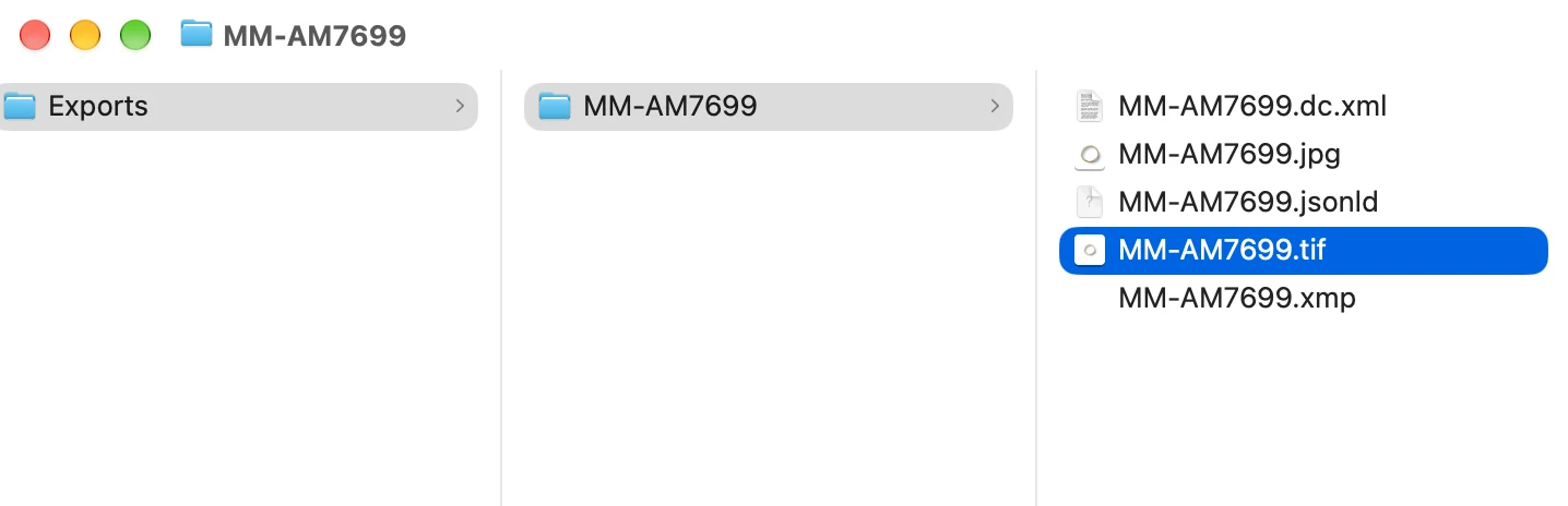 An exported package: the master TIFF, a JPEG, and the record as XMP, Dublin Core and JSON-LD